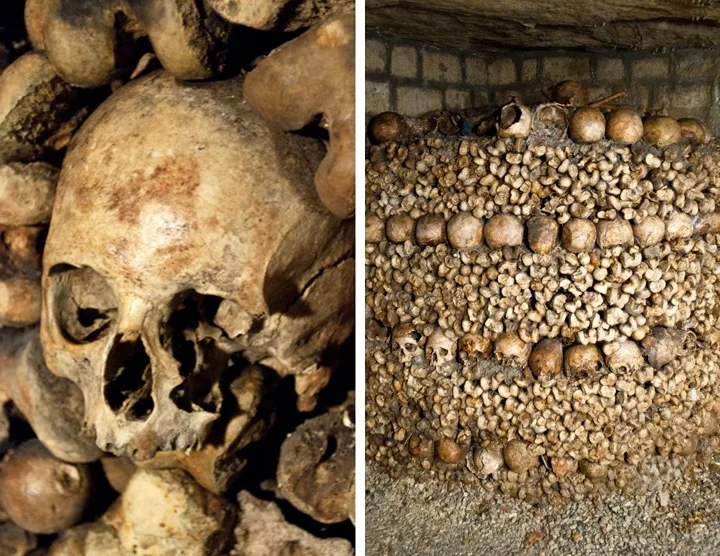 Catacombs bones