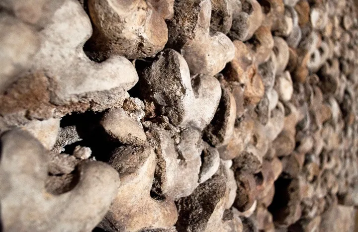 Piles of bones in the catacombs