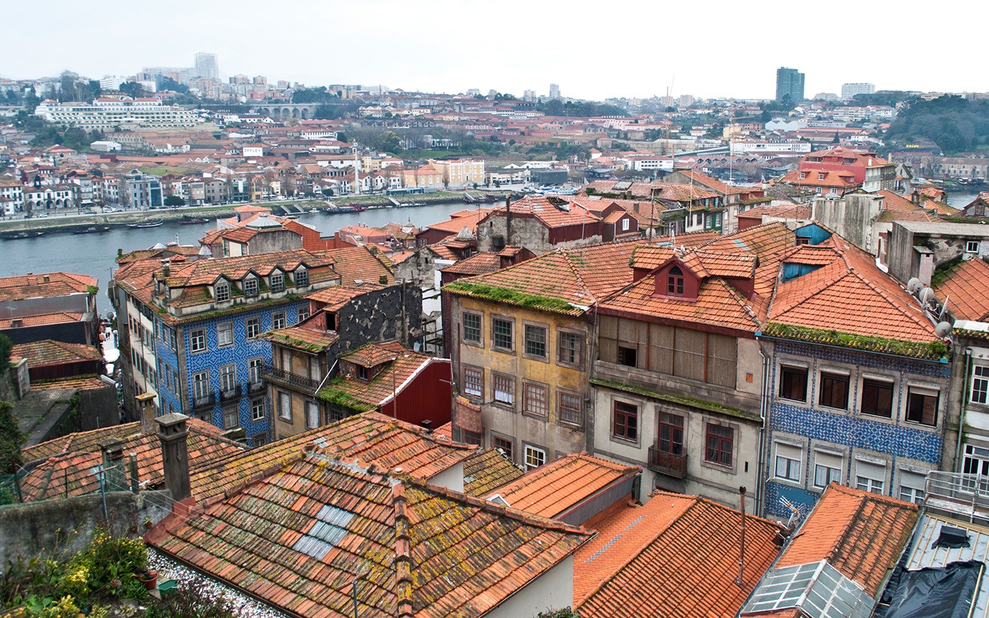 Rooftops in the historic Ribeira district of Porto