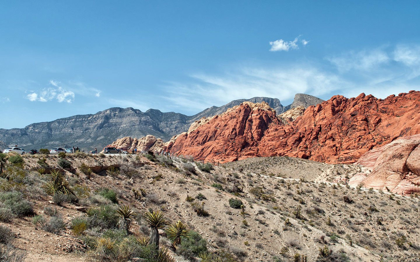 Red Rock Canyon state park in Nevada