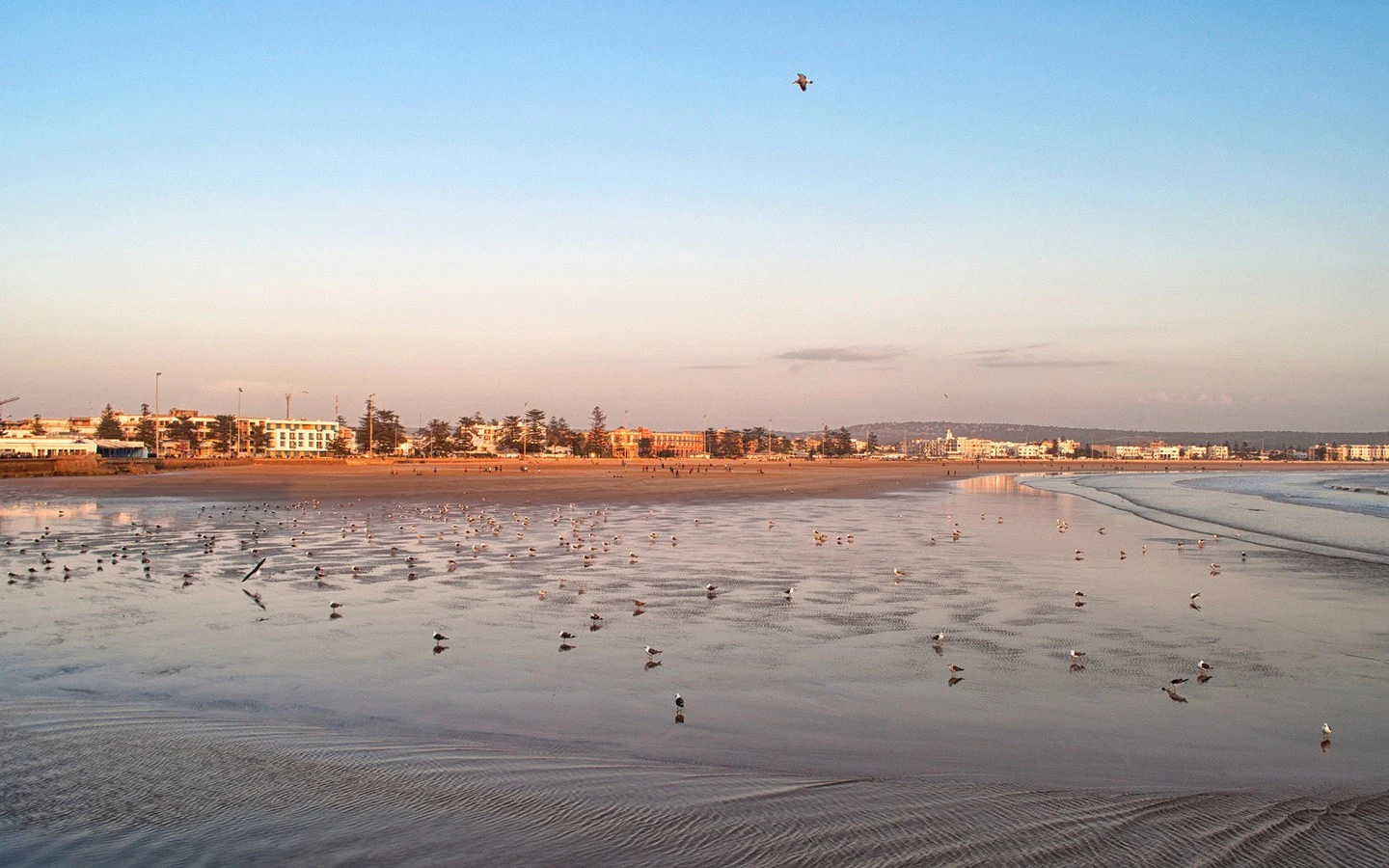 Walking on the beach, one of the best things to do in Essaouira