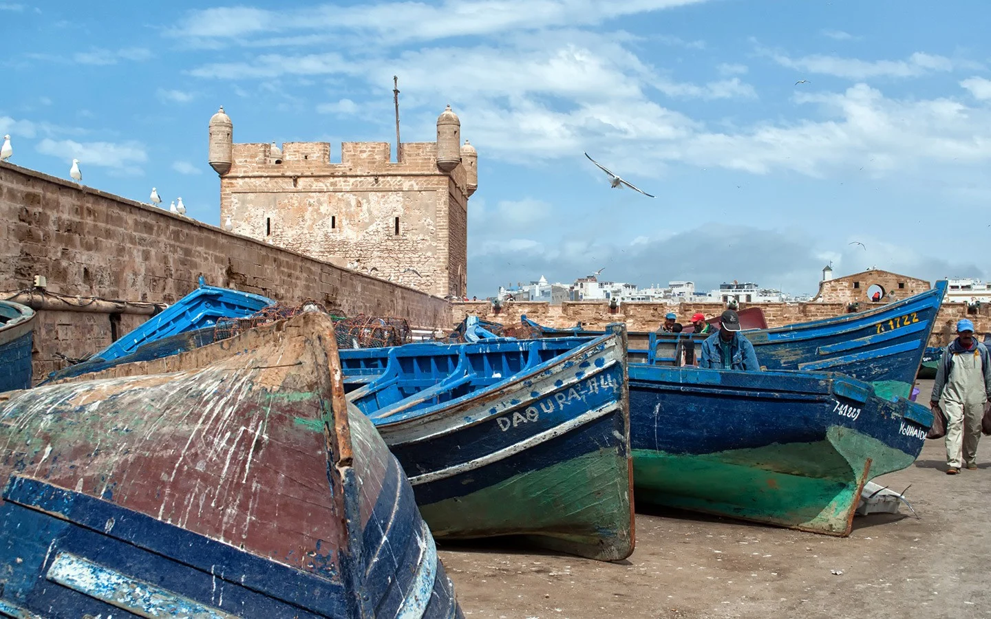 Blue boats in Essaouira port, Morocco