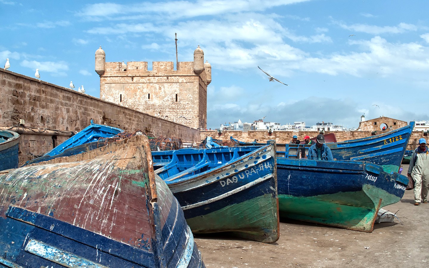  båtar i hamnen i Essaouira, Marocko