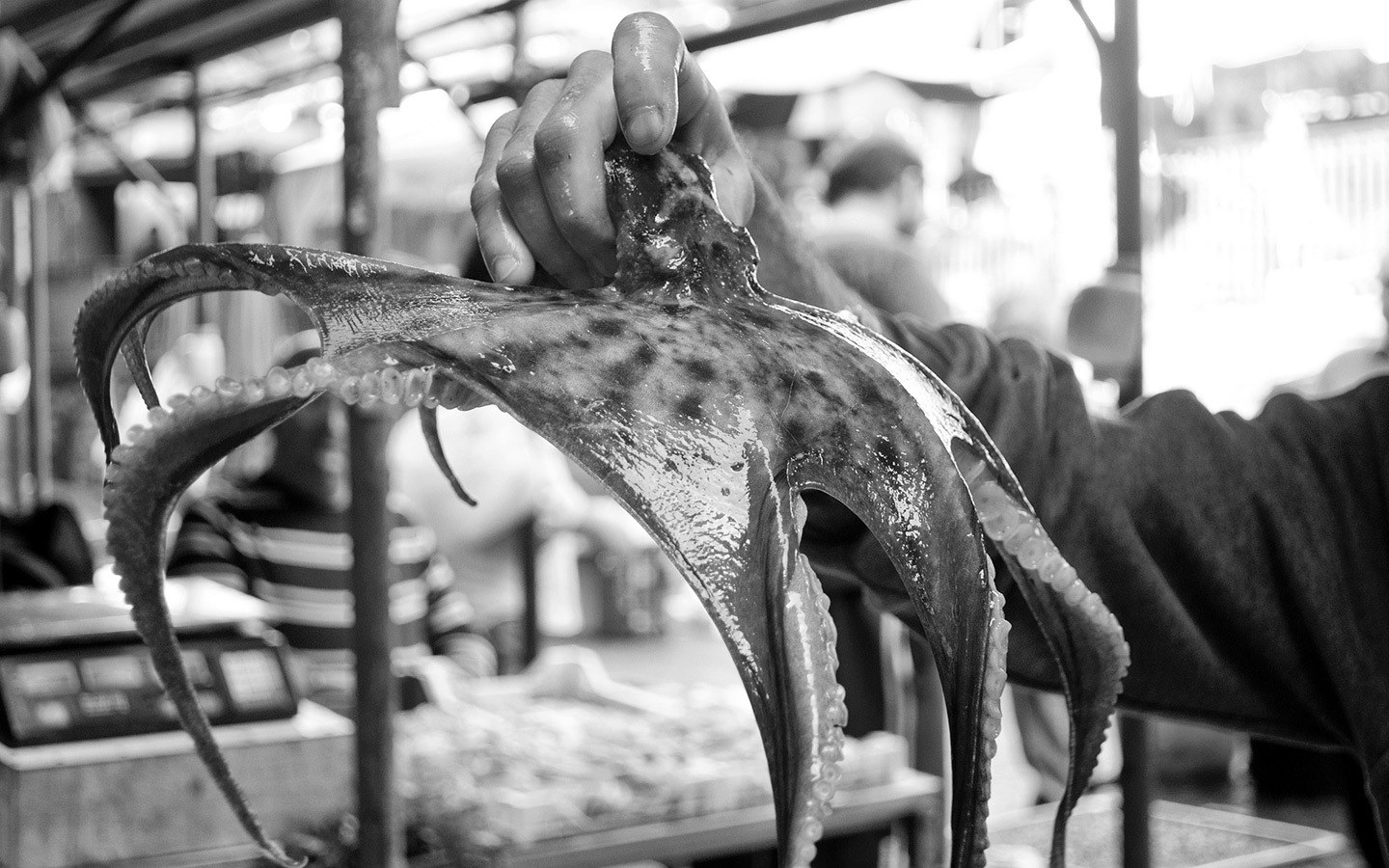 Catania fish market (La Pescheria) in Sicily