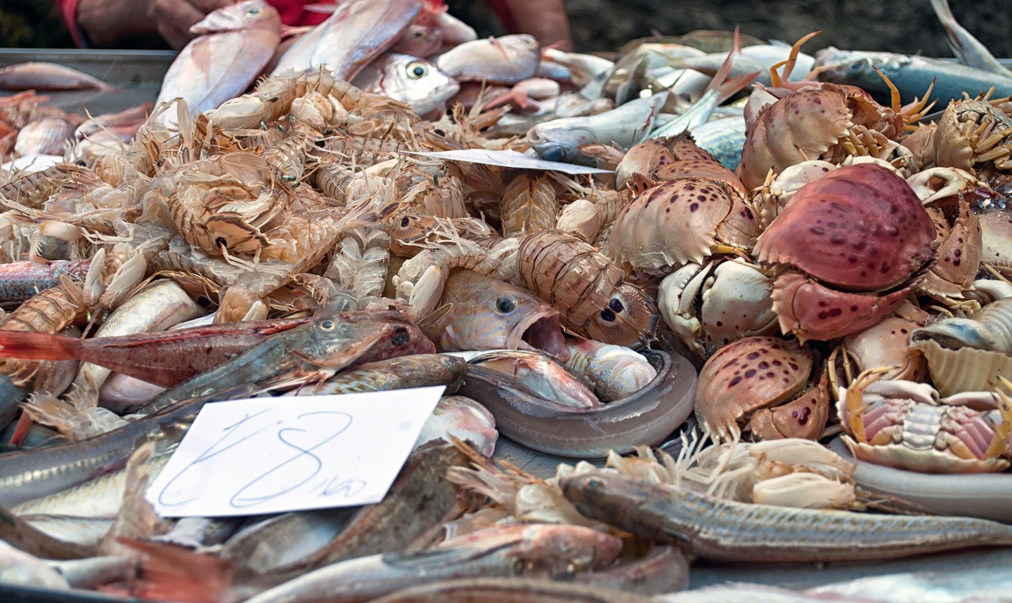 Fresh fish for sale at Catania fish market (La Pescheria)