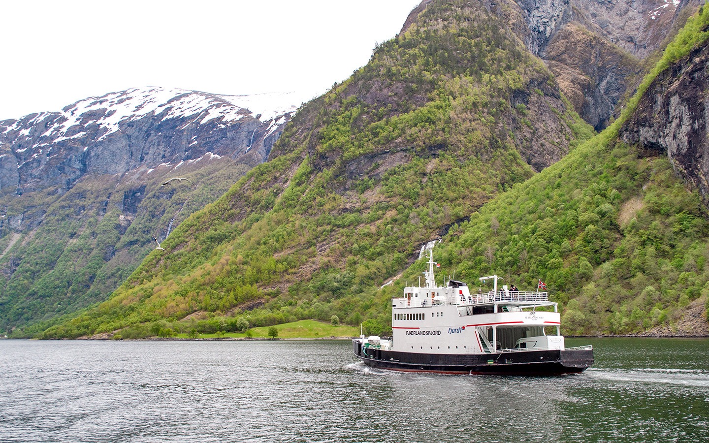 Norwegian fjord boat trip from Flam to Gudvangen