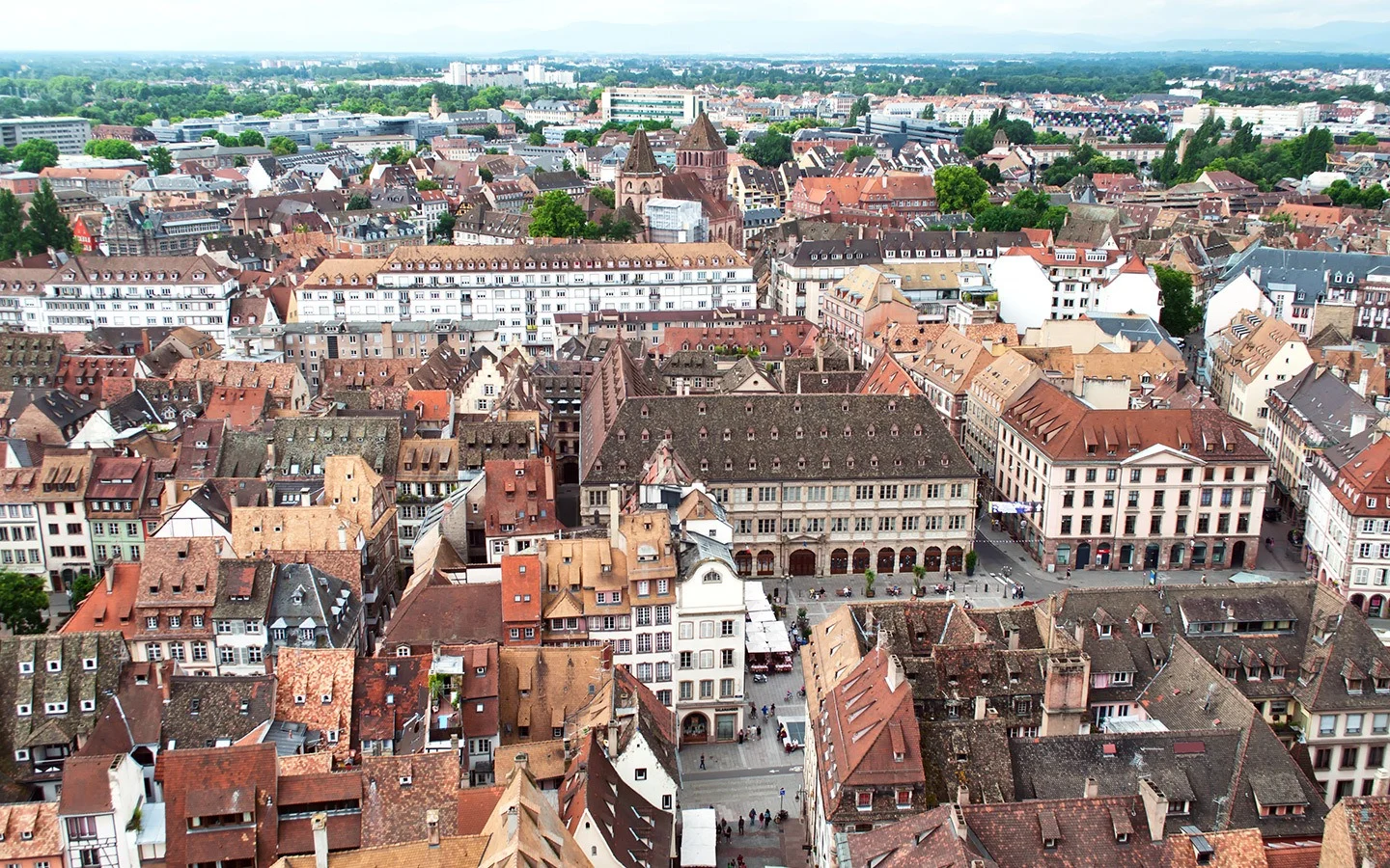 Views from Strasbourg cathedral