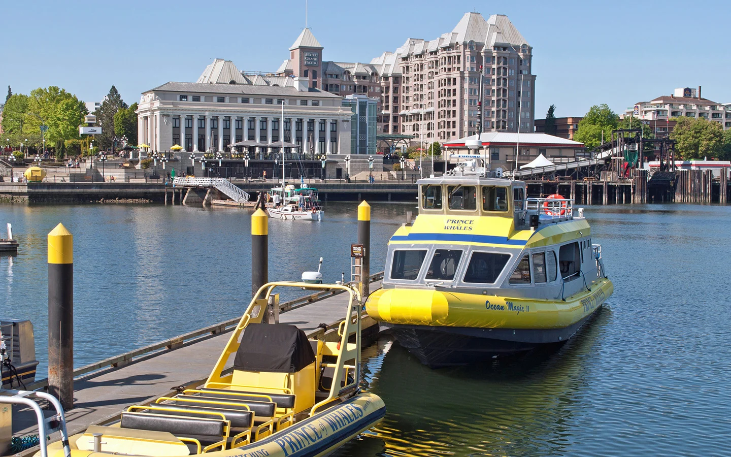 Whale watching boat in Victoria harbour, Vancouver Island