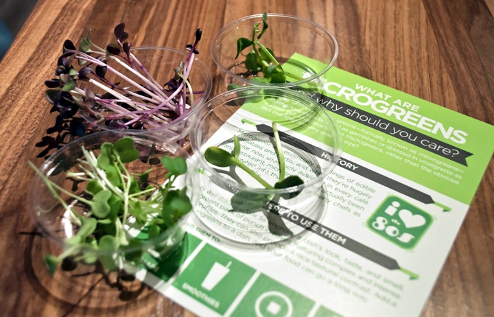 Microgreens at Urban Cultivator, Vancouver