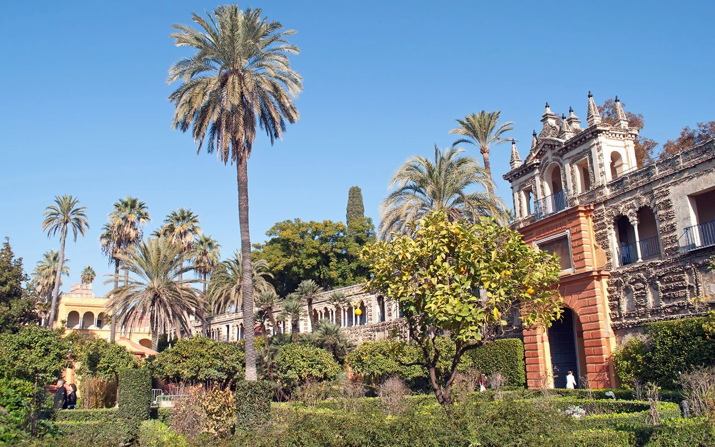 The gardens at the Real Alcazar, Seville