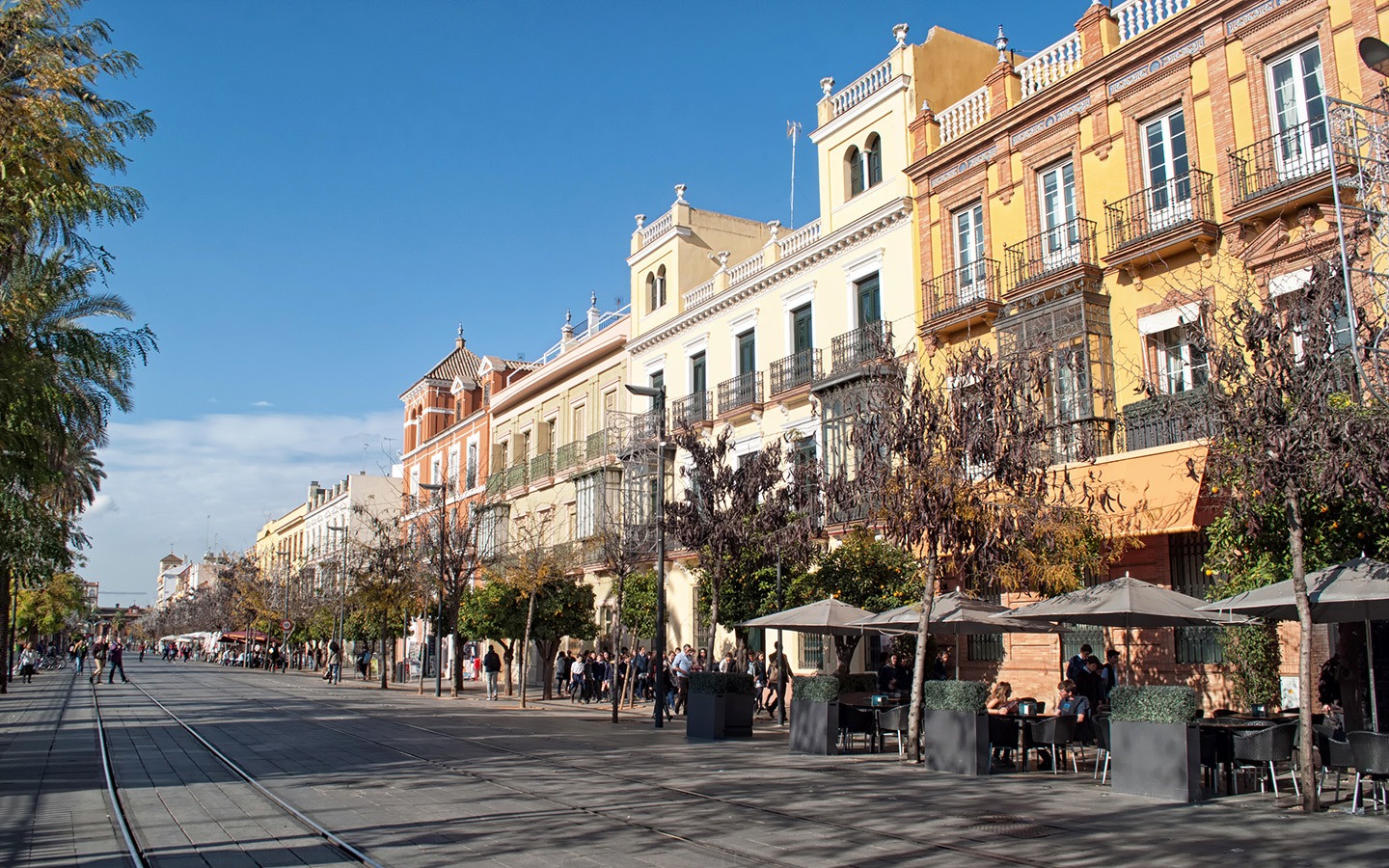 Orange trees lining the streets in Seville, Spain