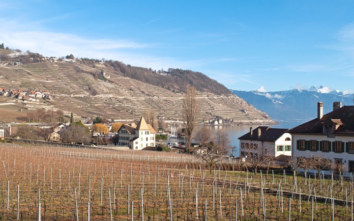 A taste of Swiss wine in the Lavaux vineyards