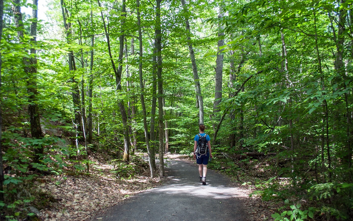 Hiking in Algonquin Provincial Park, Canada