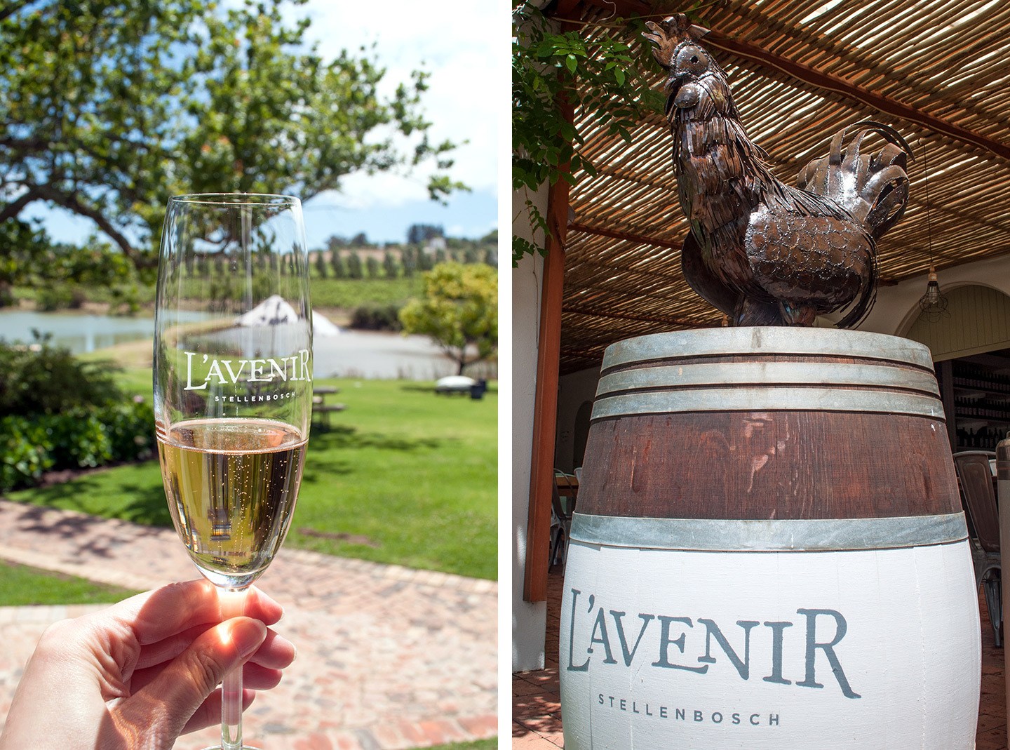 L'Avenir winery in Stellenbosch, South Africa