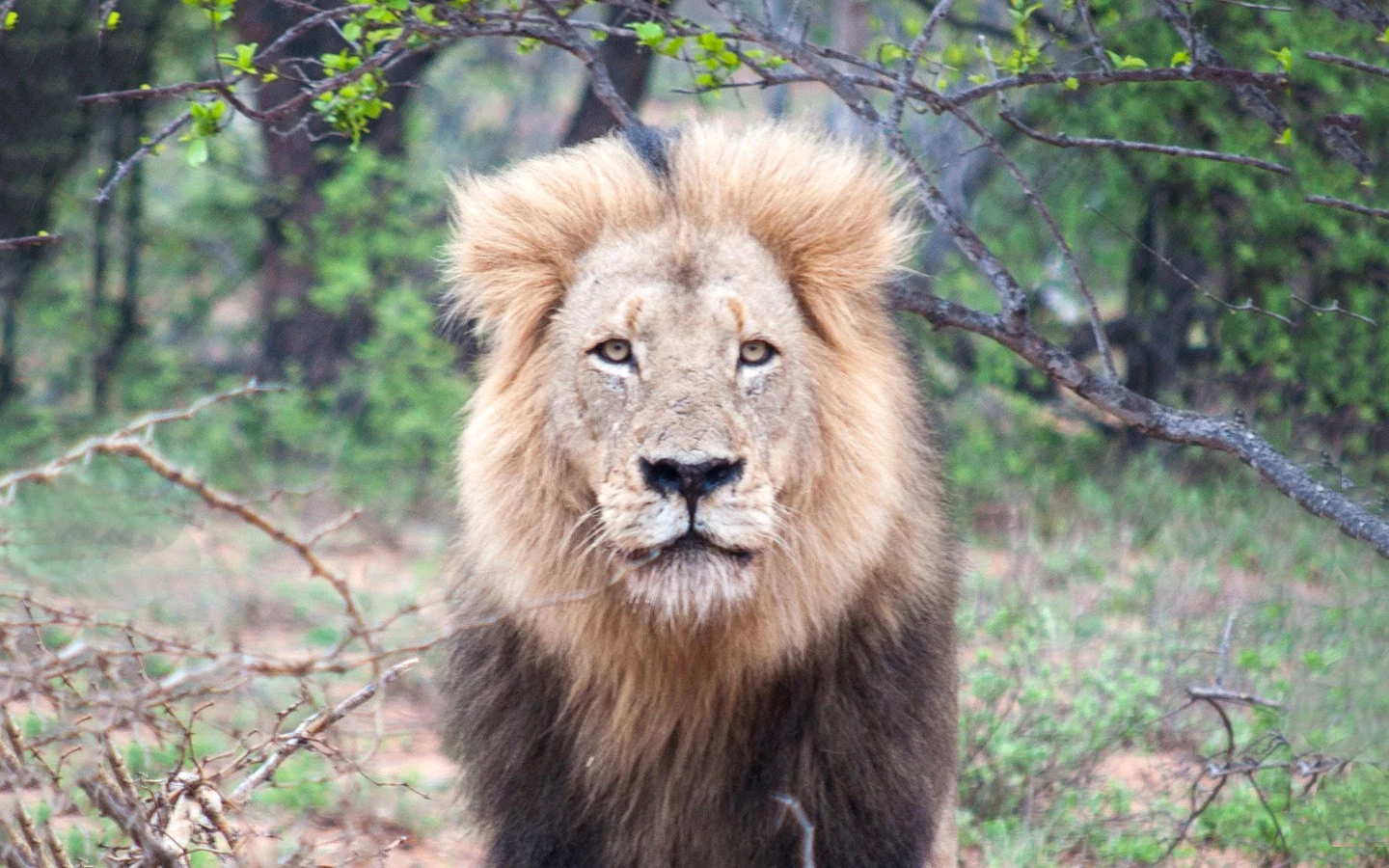 How much does it cost to visit South Africa? 10-day budget breakdown