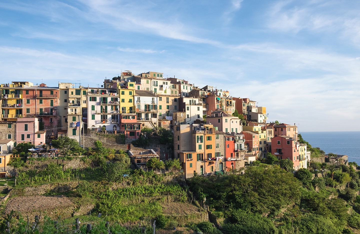 Colourful buildings on a hilltop in Corniglia, Cinque Terre, Italy