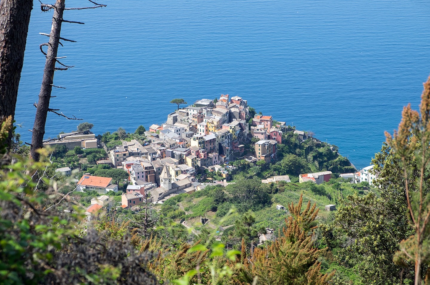 Looking down on Corniglia from above