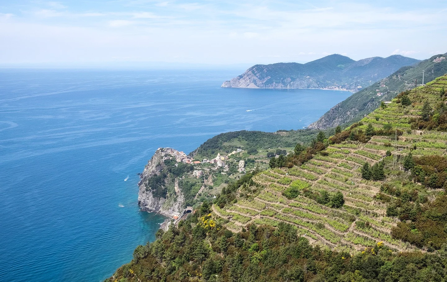 Looking down on Corniglia from the vineyard path in the Cinque Terre