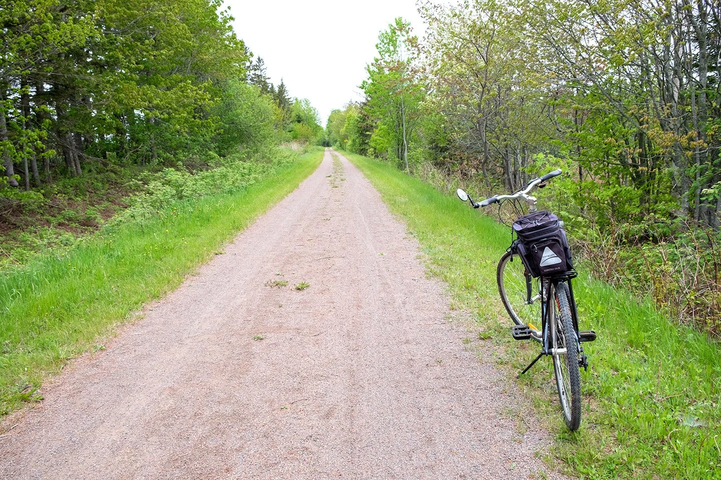 Cycling the Confederation Trail, one of the top things to do in Prince Edward Island, Canada