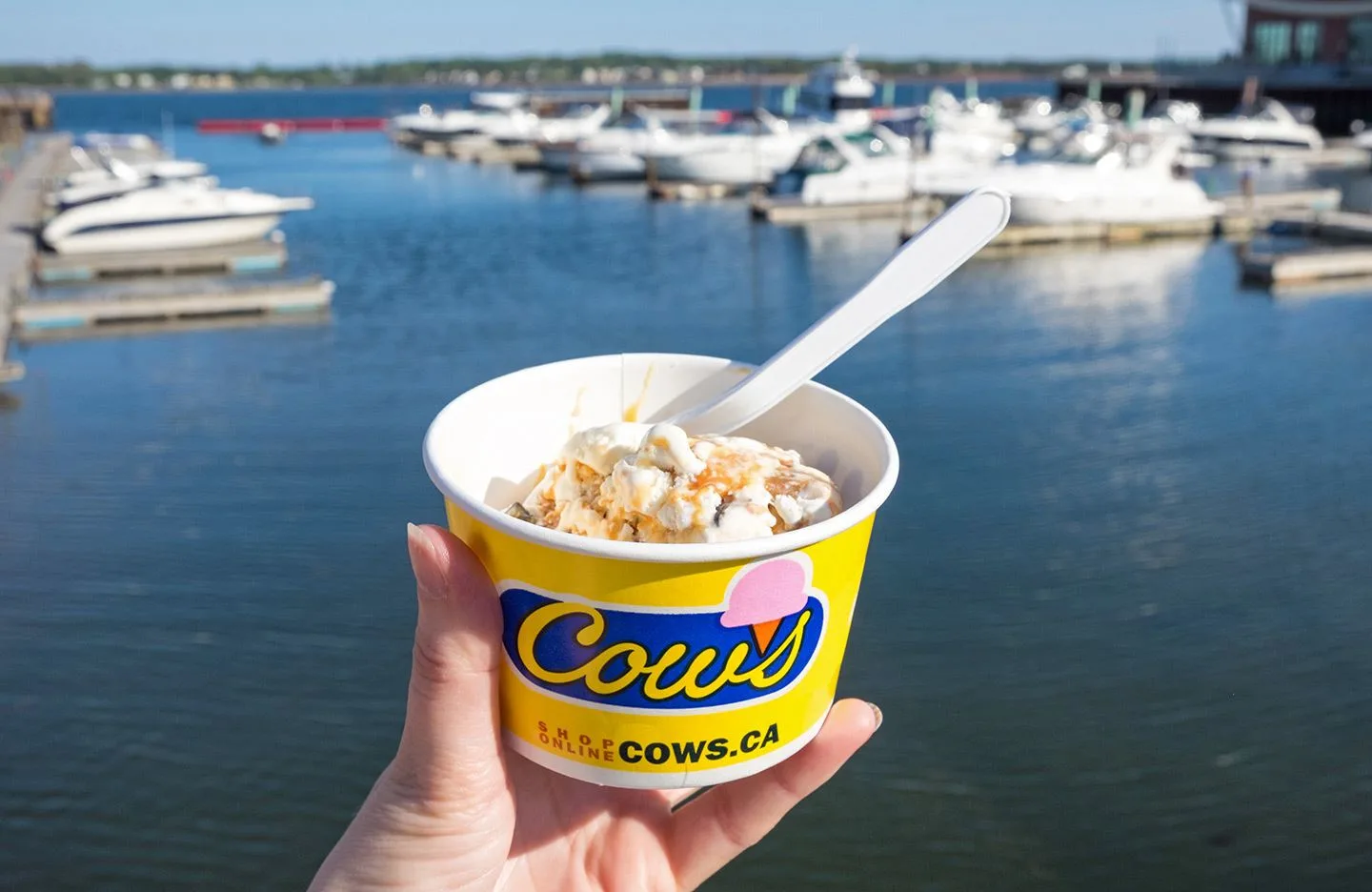 Cows ice cream, Charlottetown, Prince Edward Island, Canada