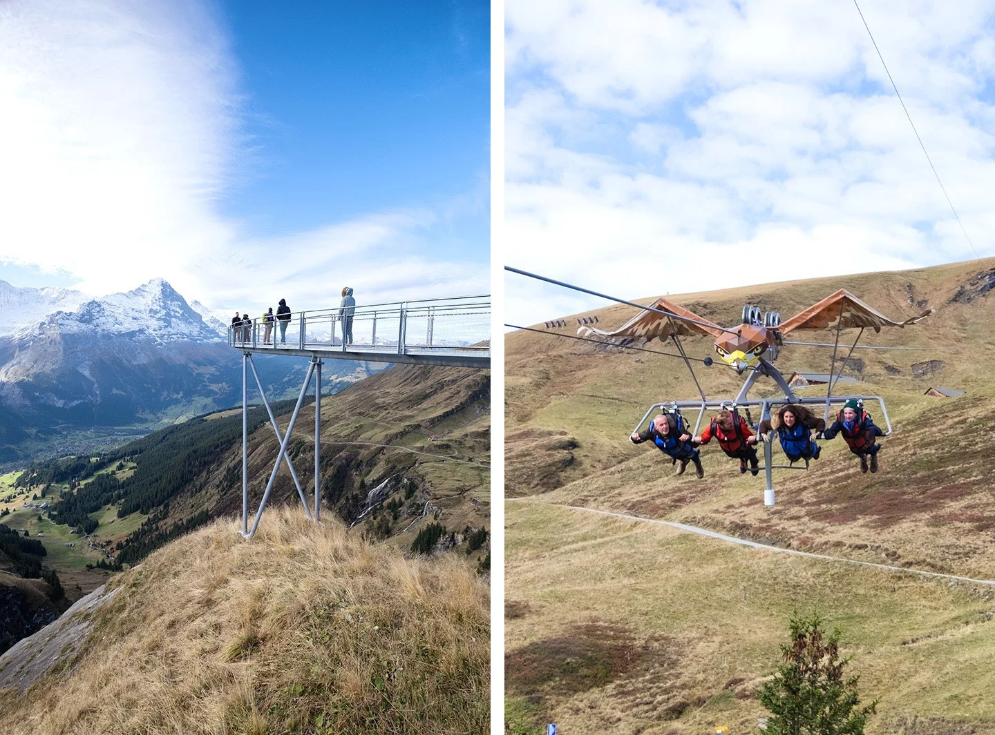 First Flyer, Grindelwald, Switzerland