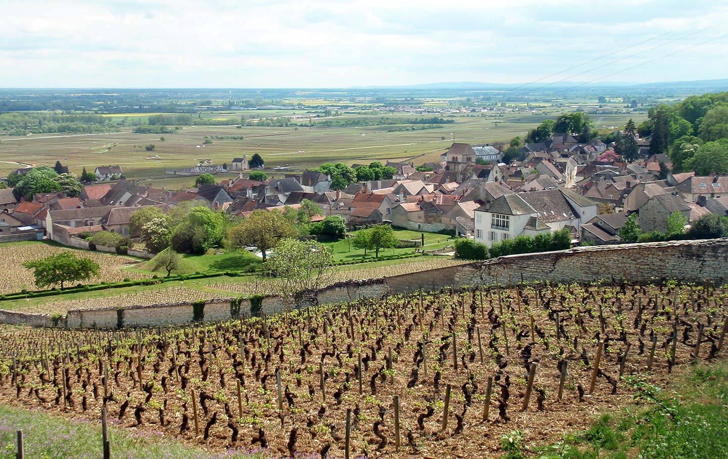 Vineyards in Burgundy on a French weekend break