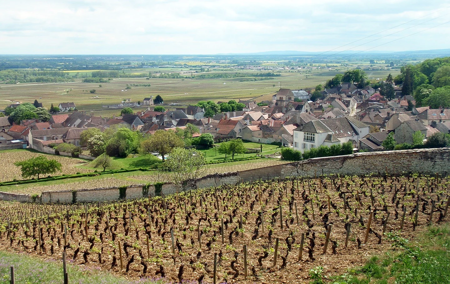 Vineyards in Burgundy on a French weekend break