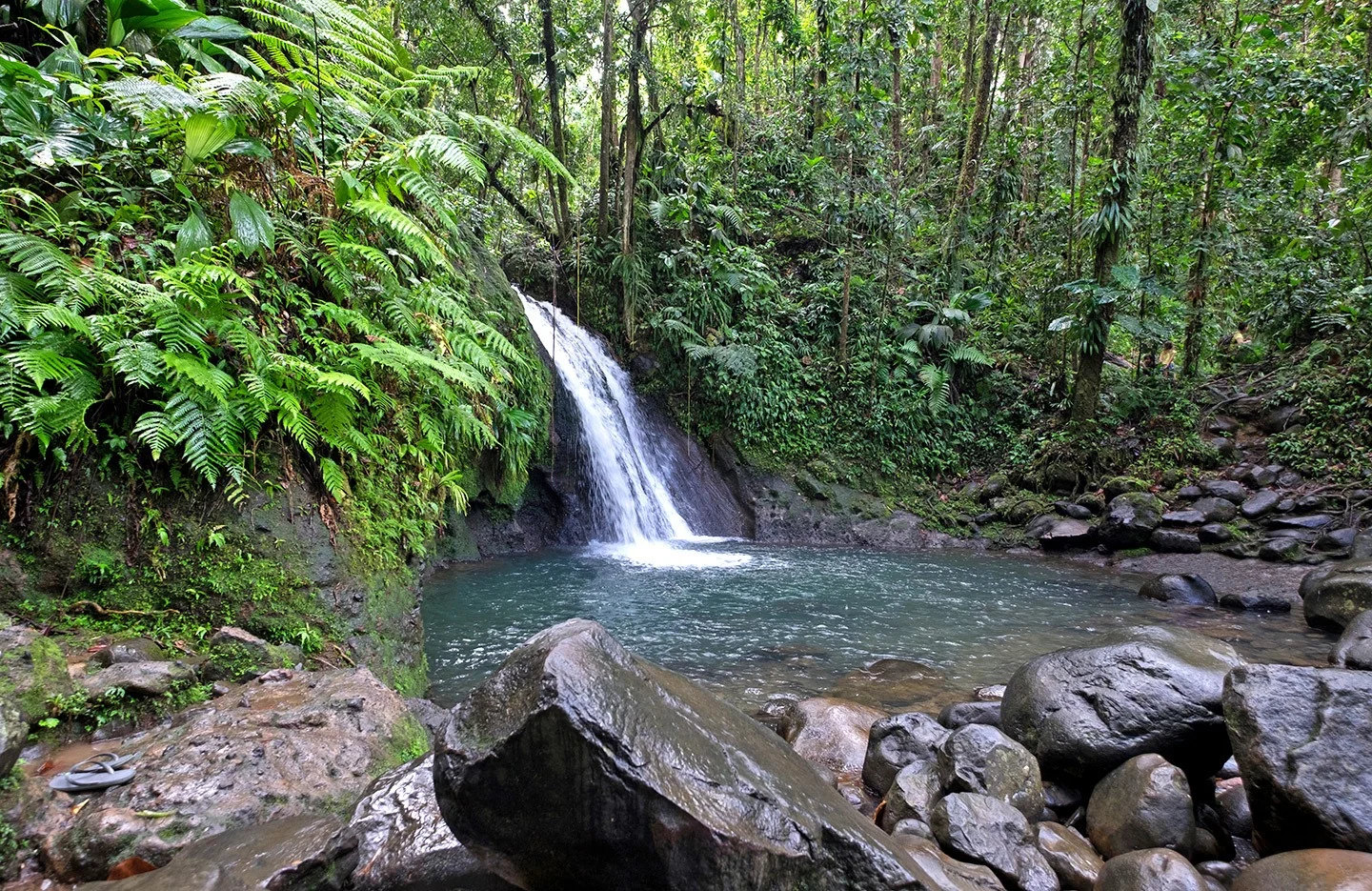 The Cascade aux Ecrevisses waterfall in Basse-Terre – free things to do in Guadeloupe