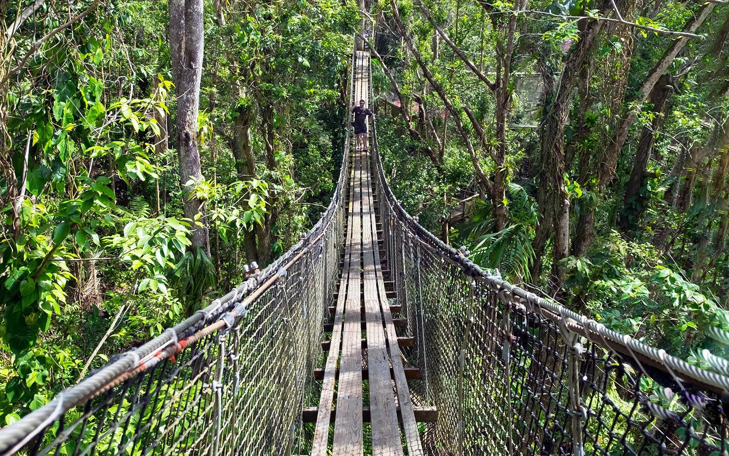 Elevated walkway at the Zoo de Guadeloupe au Parc des Mamelles