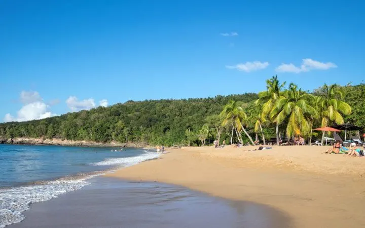 Anse La Perle beach in Guadeloupe, Caribbean