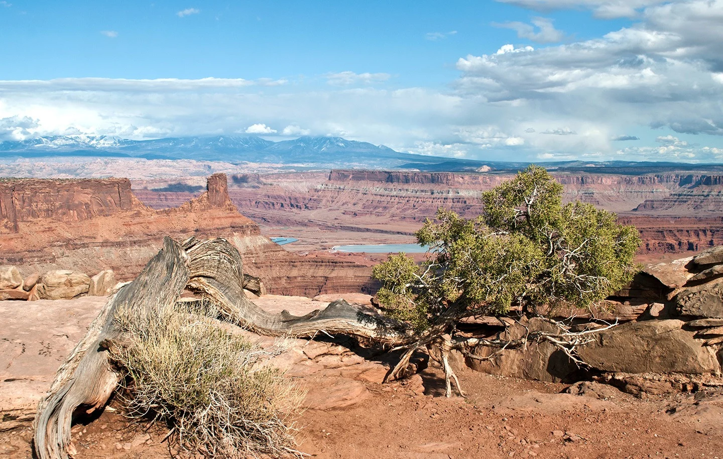 Dead Horse State Park, Utah