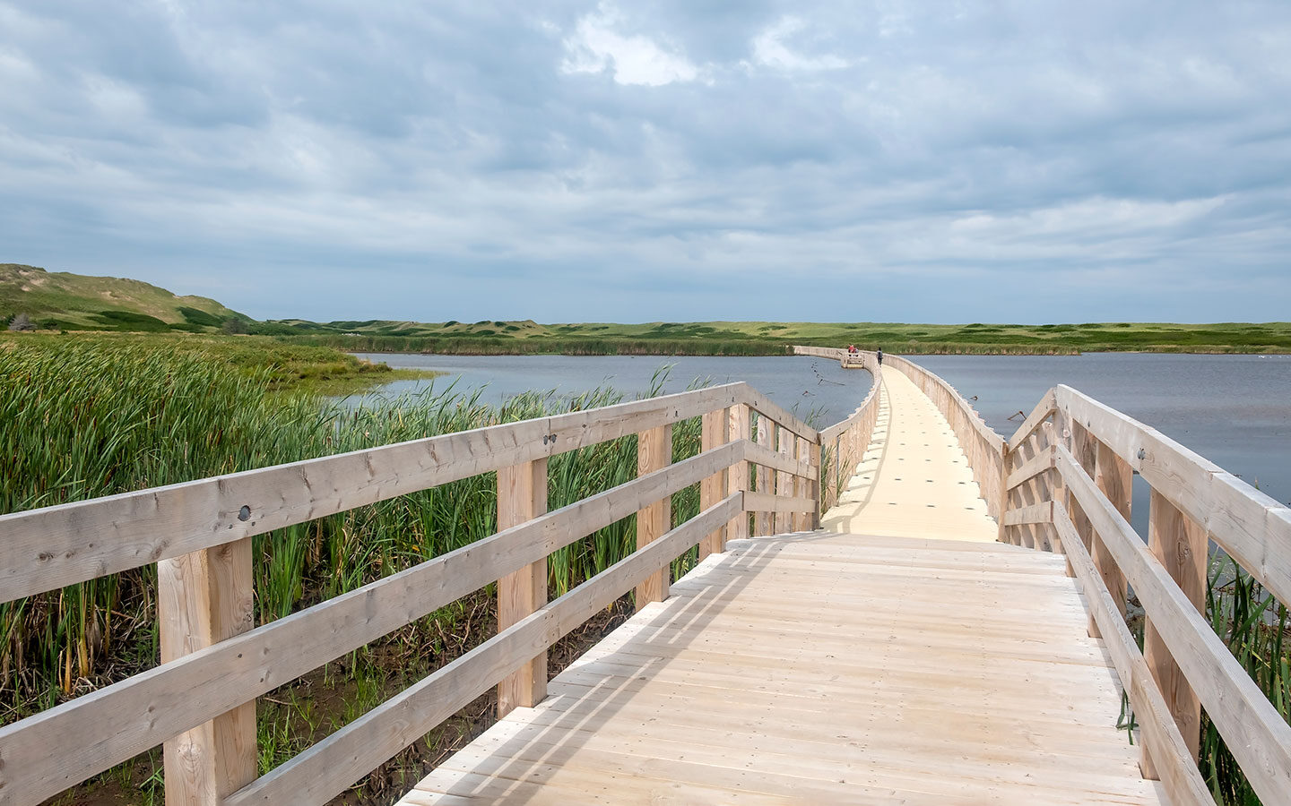 Greenwich Dunes Trail in Prince Edward Island National Park