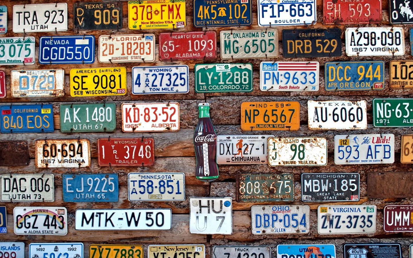 A wall of number plates on Route 66 on a southwest USA road trip