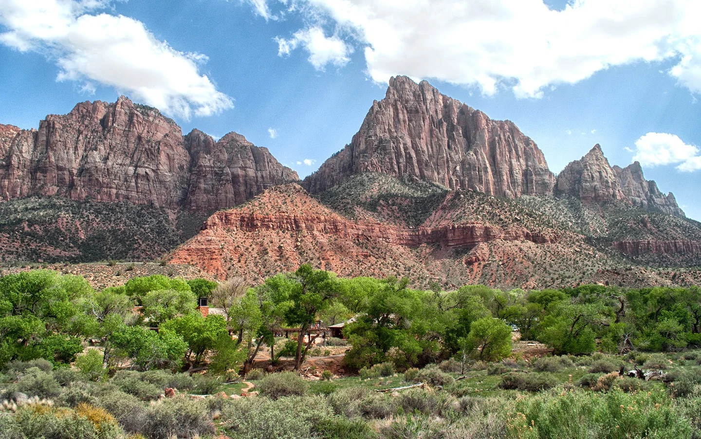 Re rocks at Zion National Park, Utah, USA