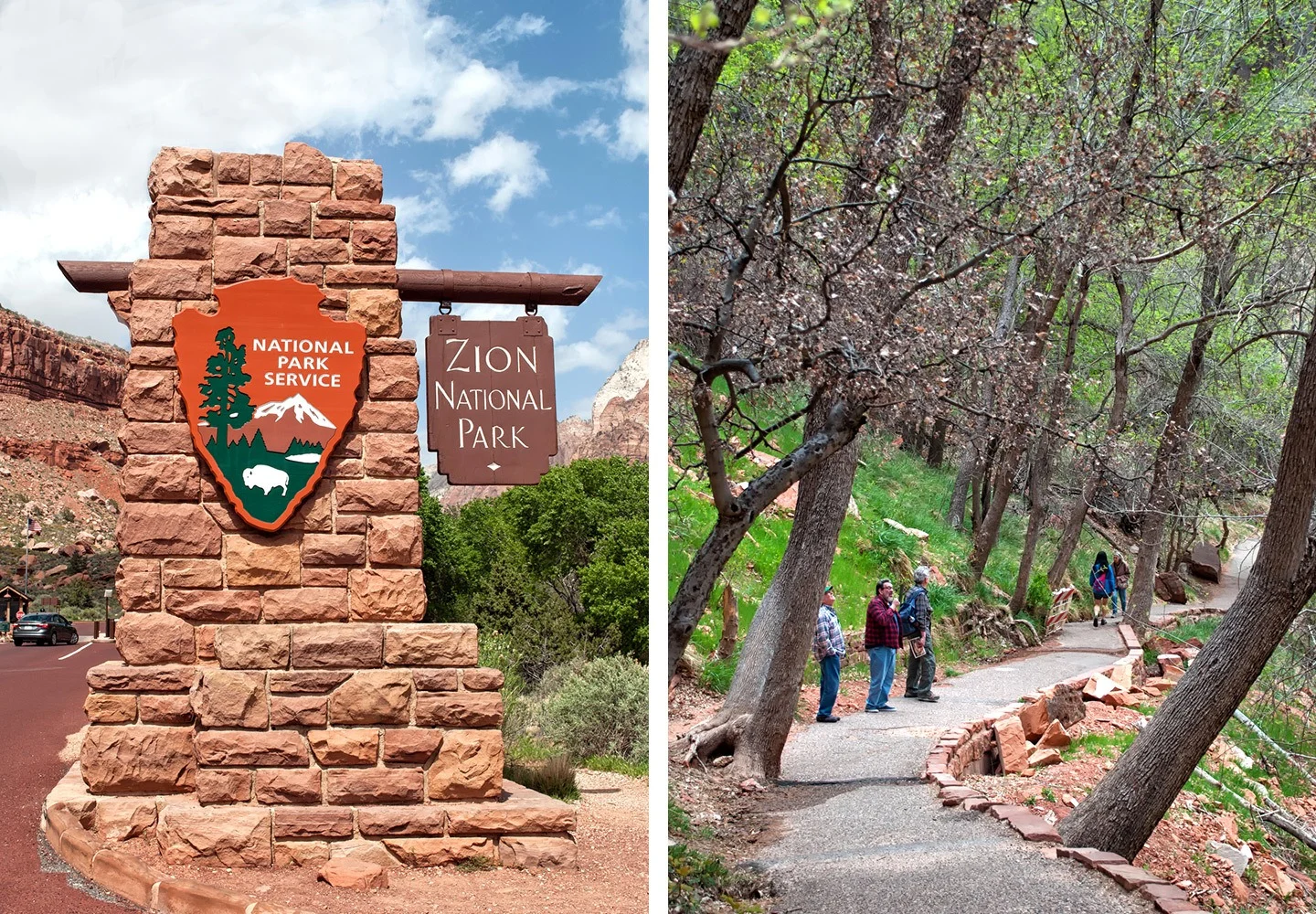 Zion National Park, Utah, USA