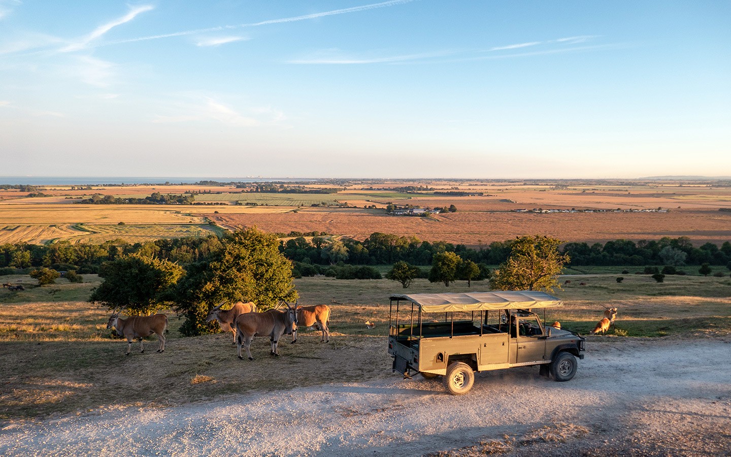 On safari in the UK: Glamping at Port Lympne Giraffe Lodge – On the Luce  travel blog