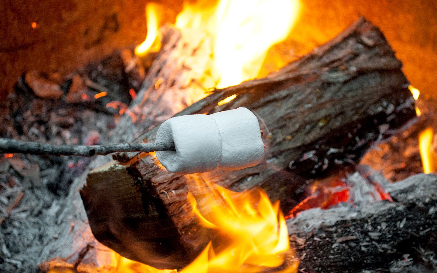 Toasting marshmallows on the campfire on a Calgary to Toronto road trip