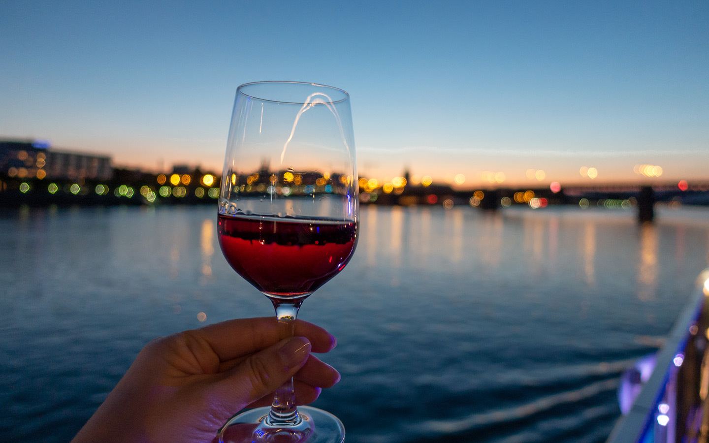 Views from a Rhine dinner cruise in Mainz