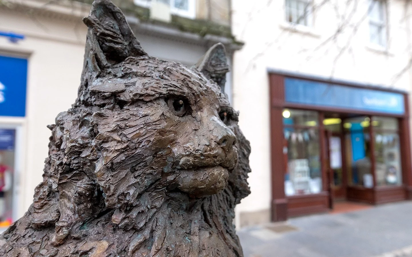Hamish McHamish cat statue