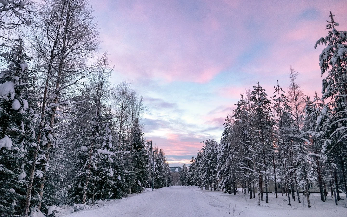 Pink skies at sunrise in Lapland