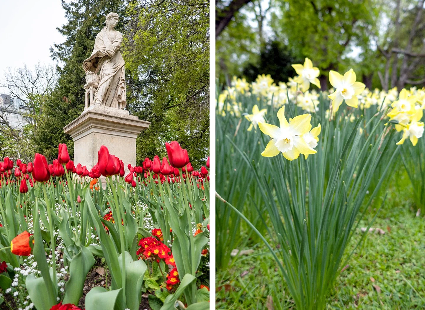 Spring flowers in Paris' parks and gardens