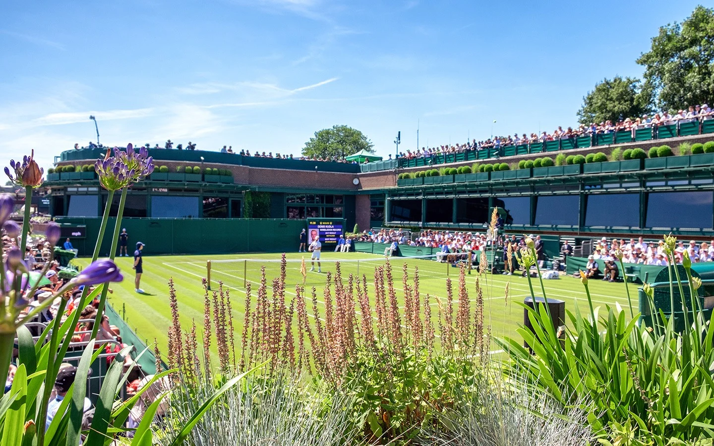 The flower-filled grounds at Wimbledon