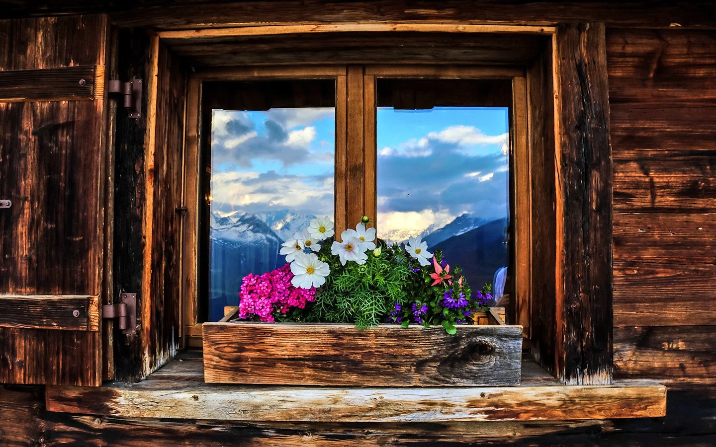 Window box with flowers in Swiss mountain chalet