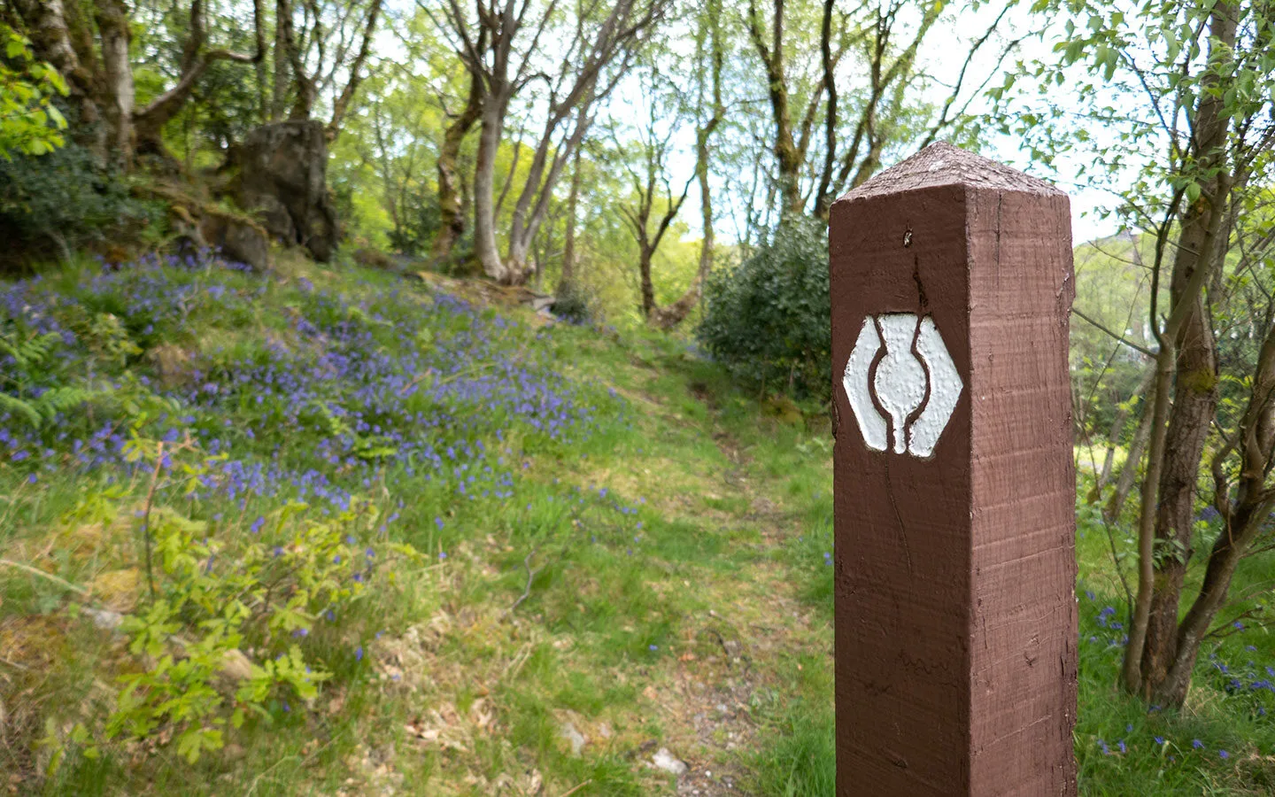 Signposts on the West Highland Way long-distance walking route in Scotland