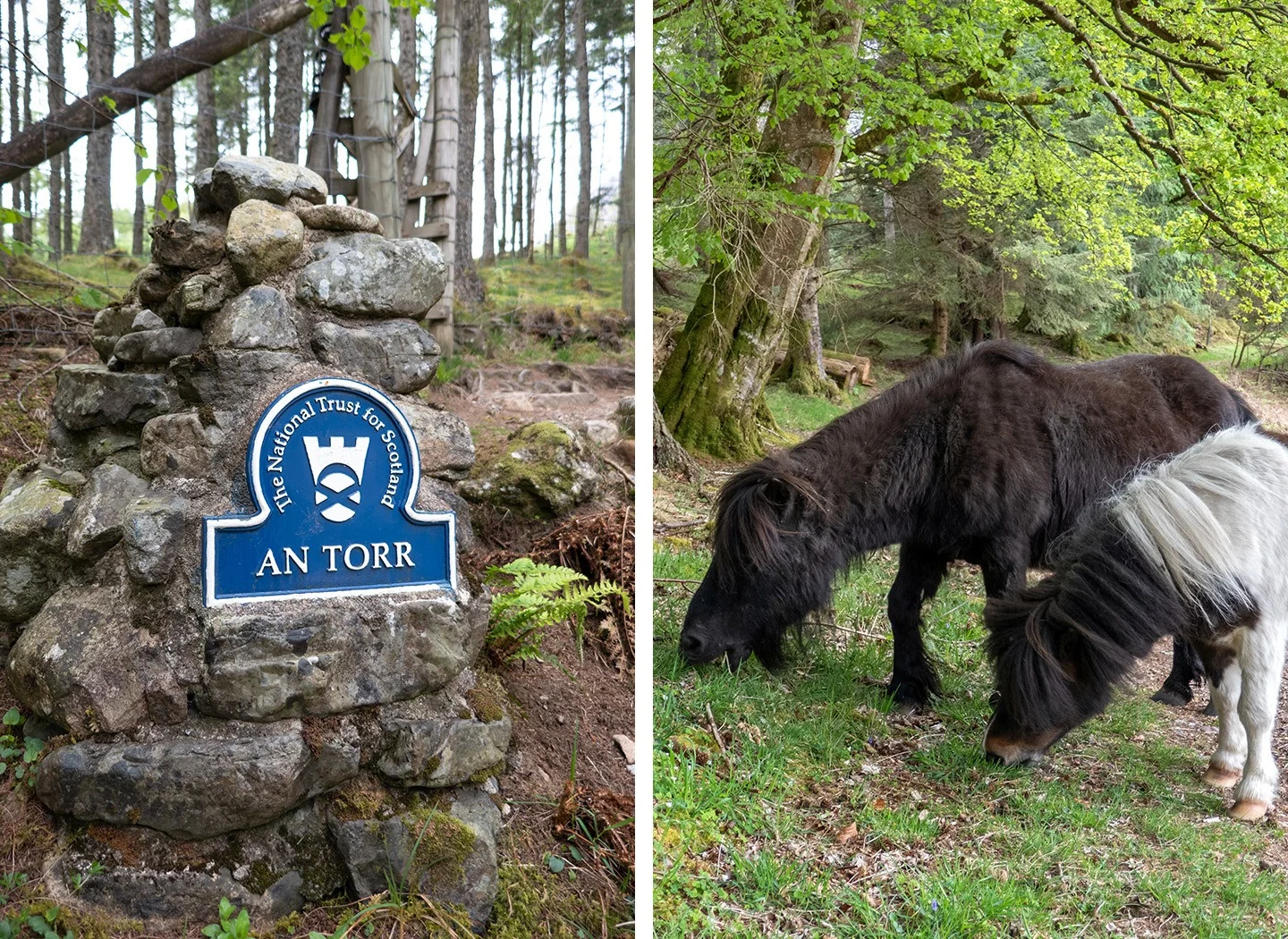 Hiking in Ann Torr in the Highlands – one of the top things to do in Glencoe