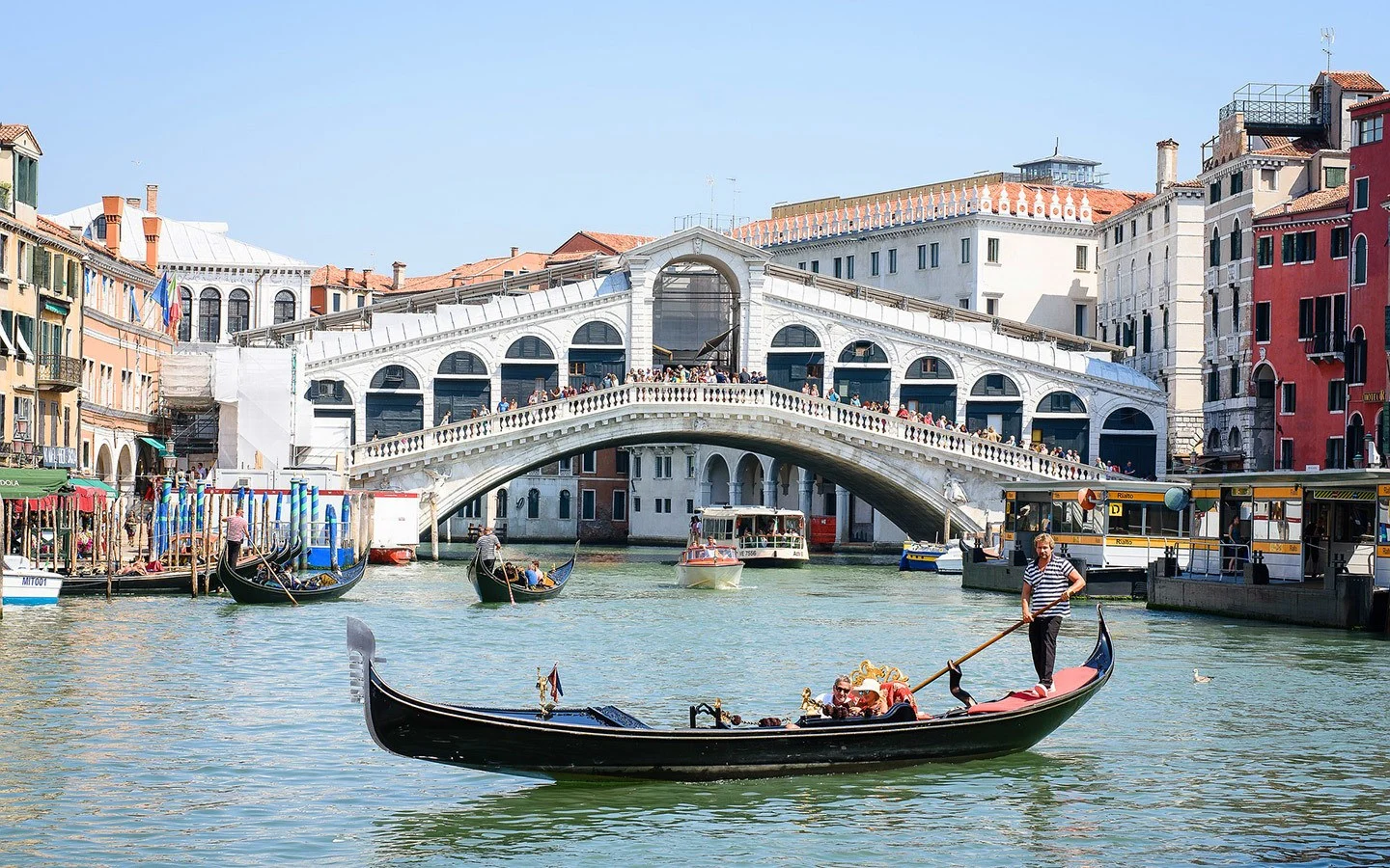 Gondolas and the Rialto Bridge in Venice