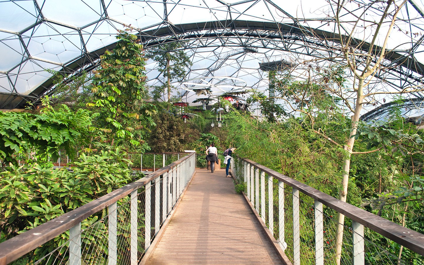 Rainforest canopy walkway at the Eden Project in Cornwall