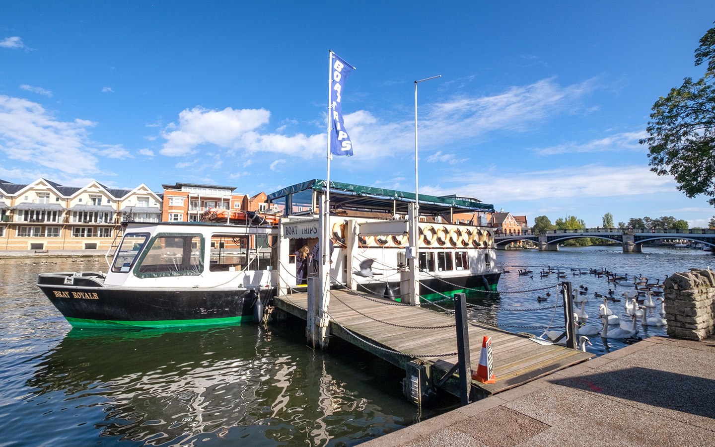 Boat trips on the River Thames