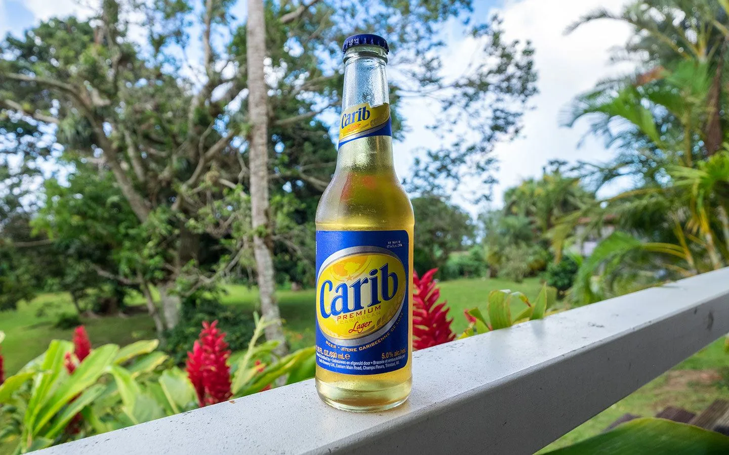 Local Carib beer in Guadeloupe