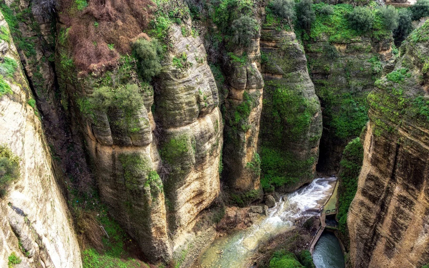 Looking down into El Tajo gorge